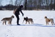 26bfb2e1bf7b2cc992aaf095215808bb_195x130_fill