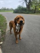 26f38f1d80d3c140d23e60569070950b_138x184_fill