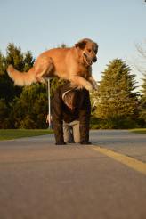 2741a4e15a3a5f0ad8df5fb72e9c0404_164x246