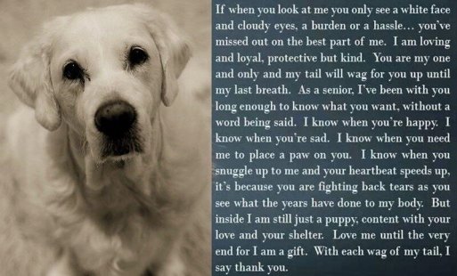 2784bd4c39382e1bf7d8737930b6eaad_513