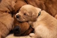 278766c3cab6bb364c168b54fa63f6b0_195x130_fill