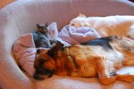 27b6557316f80d93fa24da74db65d16a_194