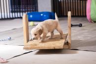 27c8d843acb128aabbb2ae86fb2ad035_195x130_fill