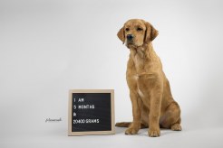 280750c9085f969fa2d644f282b6a117_246