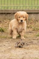 2868b76026821cc76e3d2be394cc2caa_130x195_fill