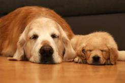 286b6bd7f492ff543c19b3bddeb291f2_246