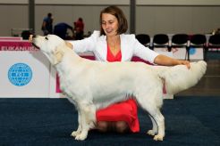 28802e1bf4173af185550ac28c76dc54_246x164_fill