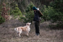 2890022c578864bec006bbfd7e39c9aa_246