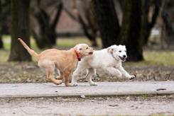 2890daf7f66c73ddec79d6b99c66cb3e_245