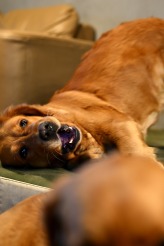 2894a13a8a9f703663b8a300d63b27ea_164x246