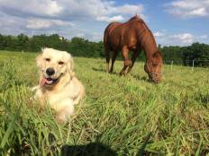 2897893044df48299593013316b769dd_232