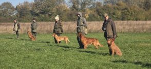 28a4d43f816ab1f48ebf5f2172519f21_294