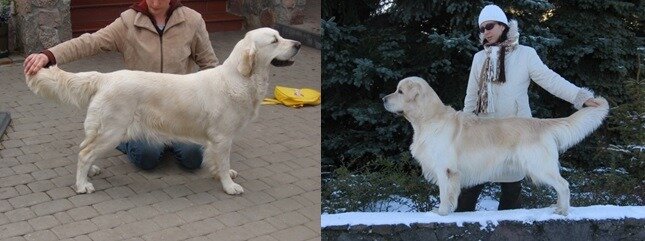 28cc58c0b8b225087fe46448ab8ee21a_fit