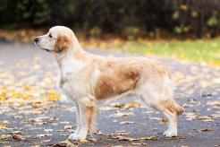 28d248eca7b6722b28d5a6a445d21935_246