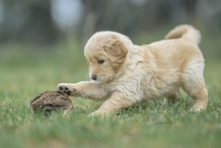 291313bde21ff0fa95d71f67a5dca6bf_245