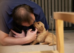 291c5fbf2b82409d3bfd922a86a7f1c8_237