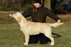 29536eac6d6ed504bb37abd2b75de96b_246