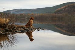 298a4f63912178e2a53e9ab48e669875_246