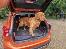 299af03ddcddca8515020cac7ff8e132_232x174_fill