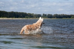 29c55e5f10a4a4ff646c611998e1f4df_246