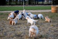 2a126f41598090461e40a4a6d7313eae_194