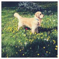 2a19a11acc104c4abf55daaa22a5dcd8_200x200_fill