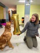 2a22c26d9fc62b2c8e1d7a6ddfd1eacd_138x184_fill