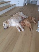 2a7bec3133ff81440e5694e0dce011fb_138x184_fill