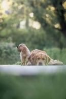 2aad3c4c9324ec83487622d8b6411ab8_130x195