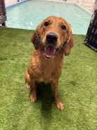 2b1114459d442ea4bfb906300fec3fce_138x184_fill