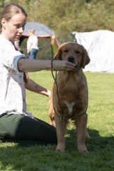 2b4de86fe3b75e5d8e43265e8ad4857b_164x246