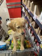 2b7e555c2daec261ca1073b39b8f08b7_138x184_fill