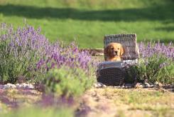 2b89ed8fc22d865afdd4e00ea73623e3_245