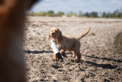 2b9000227128929281d72591b9b85031_245