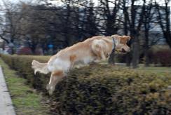 2baaa58412e909e123f3fb3f49b9f9c6_244