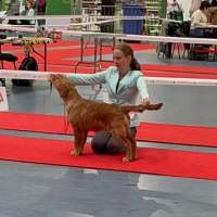 2bbaddb2a6d9e8280529a0561d0cefe9_200x200_fill