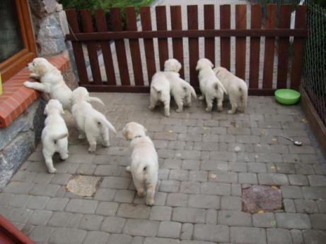 2bd9405b543a5f92d2b20c10d0b2e732_461