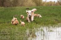 2bfa14888920a992963aef138592b6a4_195x130_fill