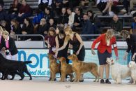 2bffdc9bfd02bdd8c1ee280ee4028db3_195