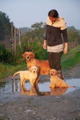 2c1a85648e28607a817340e4348494ca_164x246