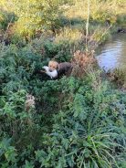 2c9af16da6cb4afddb9f4d15ef410347_138x184_fill