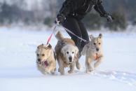 2cab00fa55f0a4cf56a769e9f9d91a8e_194