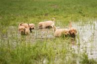 2cb7a6155c7a267b6a3cf36b369615df_195x130_fill