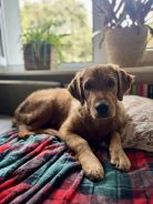 2d192e8e6e8566aa4f8fc440eea27154_138x184_fill