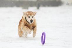 2d73db45e46cd66a1beab672ad2610ce_245