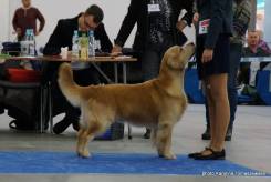 2dc426ecd097af23ea4e740fc4ebdc05_245