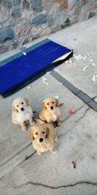 2dcada5ff3c852f3401e9005d82c80b4_142x283