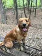 2df8068c92bf0d310666448108fc3074_138x184_fill