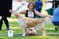 2dfbb6142790967b8242dcbe6c18fdde_246