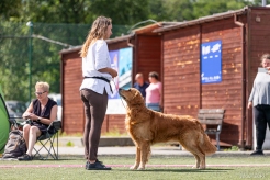 2e3e74f4592f2dc5a2a1056f00b333a9_246